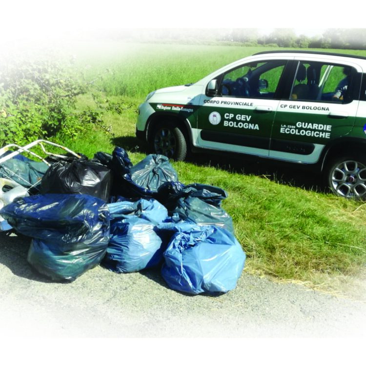 <h2><b>COME FUNZIONA <em>VERBALE ACCERTAMENTO</em>?</b></h2>